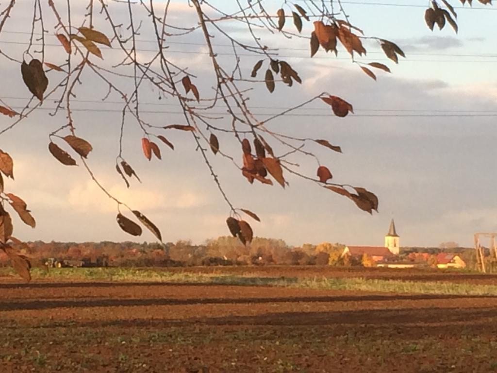 Alte Heimat Διαμέρισμα Schwegenheim Εξωτερικό φωτογραφία