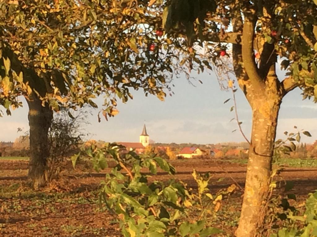 Alte Heimat Διαμέρισμα Schwegenheim Εξωτερικό φωτογραφία
