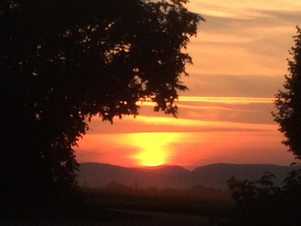 Alte Heimat Διαμέρισμα Schwegenheim Εξωτερικό φωτογραφία