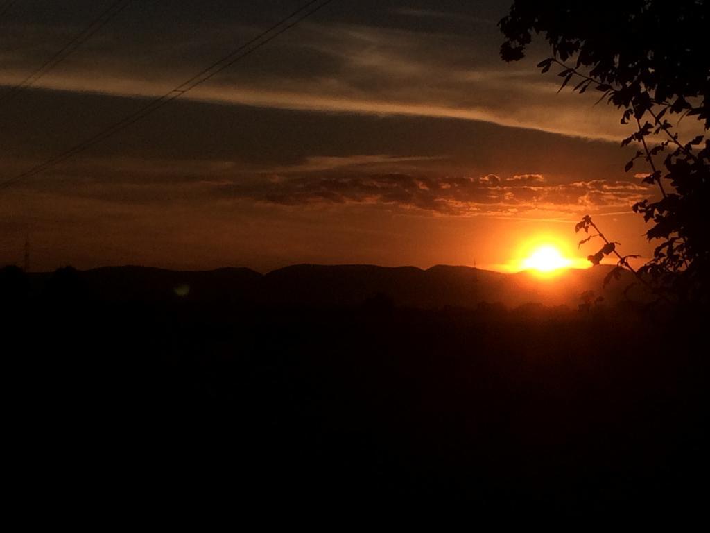 Alte Heimat Διαμέρισμα Schwegenheim Εξωτερικό φωτογραφία