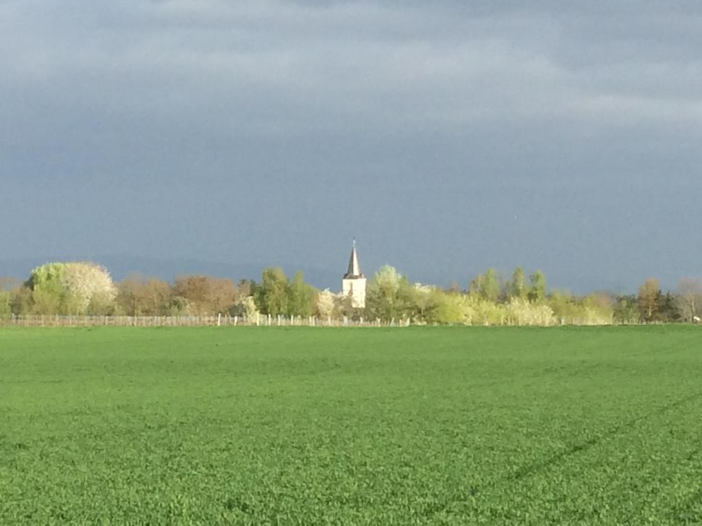 Alte Heimat Διαμέρισμα Schwegenheim Εξωτερικό φωτογραφία