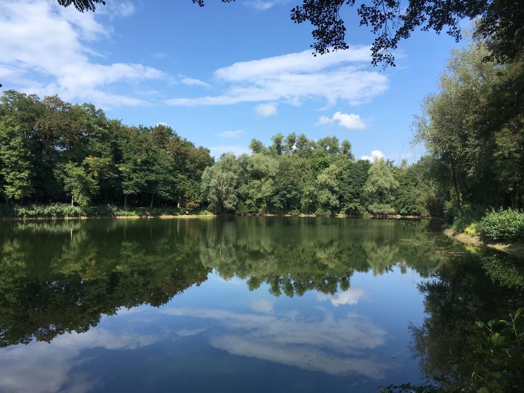 Alte Heimat Διαμέρισμα Schwegenheim Εξωτερικό φωτογραφία